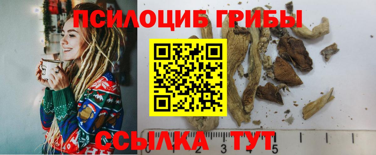 наркота  Псилоцибиновые грибы Cubensis  Вход с VPN  Одинцово 