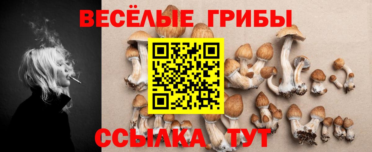 Псилоцибиновые грибы GOLDEN TEACHER Одинцово